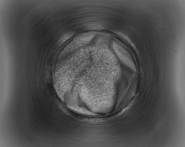 X0000082980889200703020254