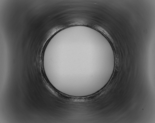 X0000082980890200703020254