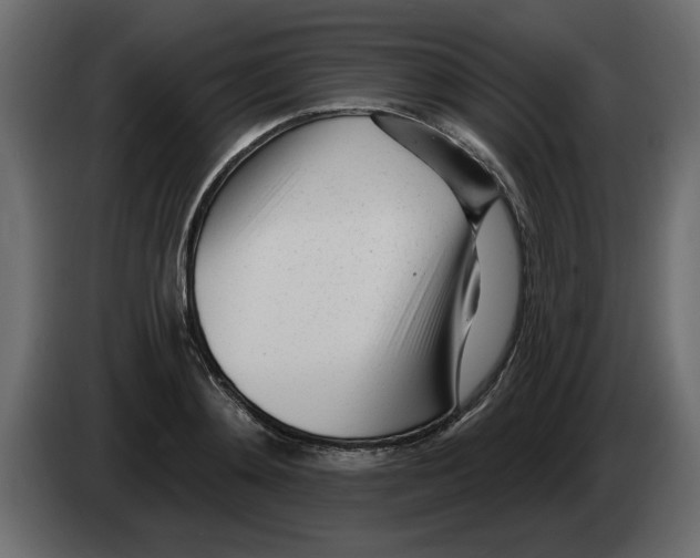 X0000082980892200703020254