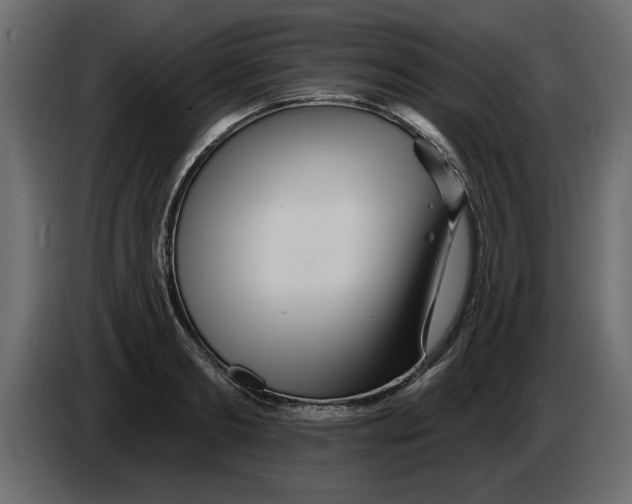 X0000082980893200703020254