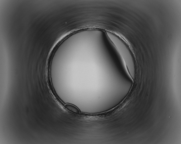 X0000082980894200703020254