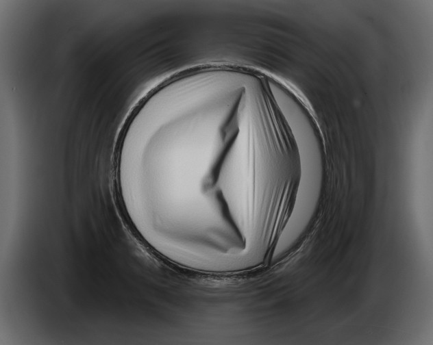 X0000082980895200703020254