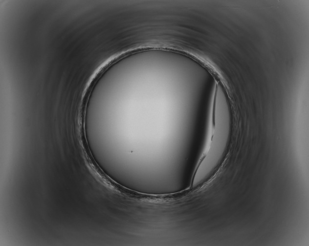X0000082980896200703020254