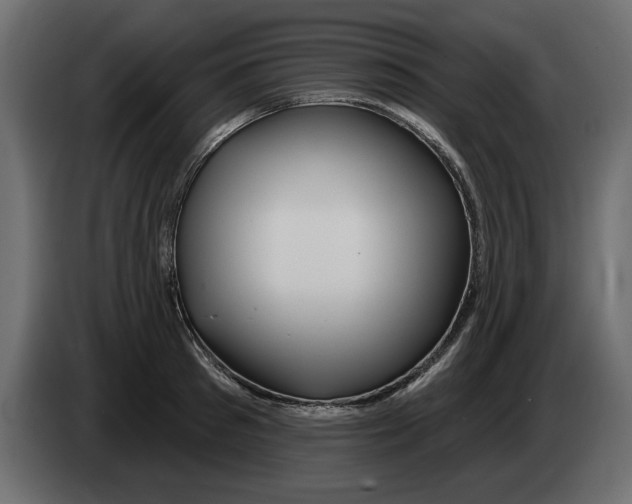 X0000082980897200703020254