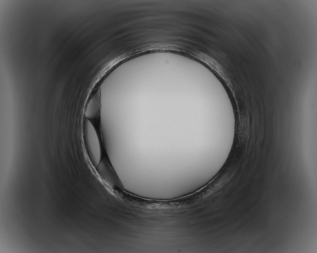 X0000082980898200703020254