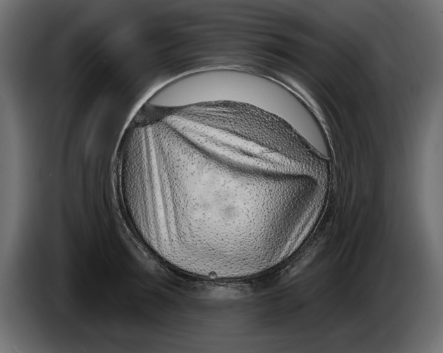 X0000082980899200703020254
