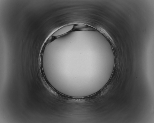X0000082980900200703020254