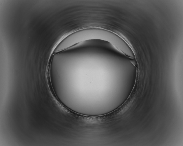 X0000082980901200703020254
