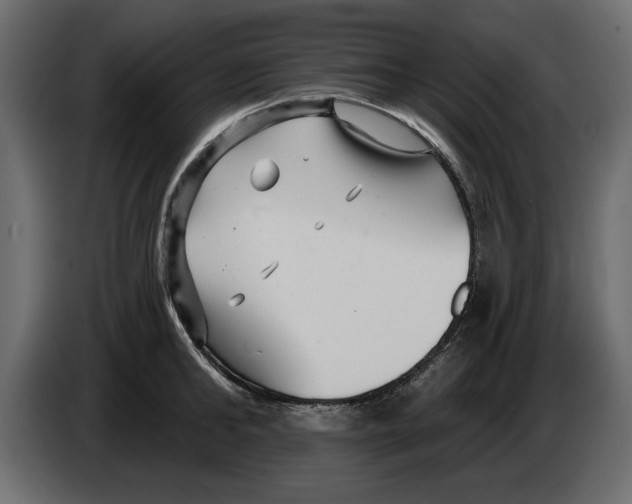 X0000082980902200703020254