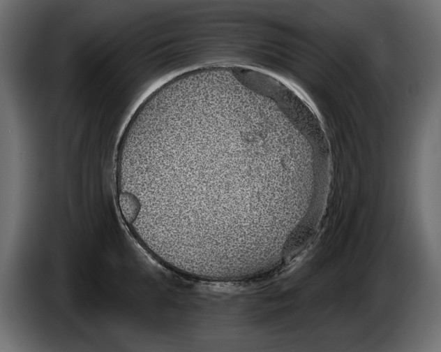 X0000082980903200703020254