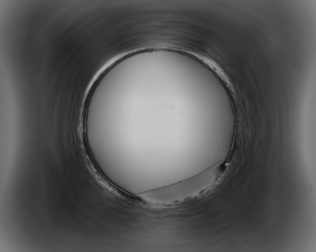 X0000082980904200703020254