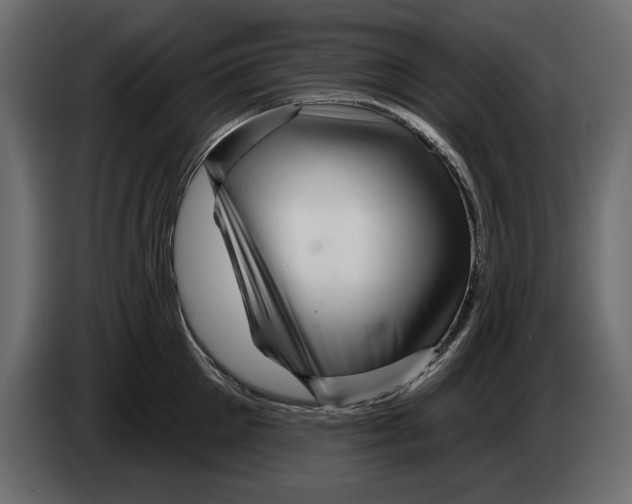 X0000082980905200703020254