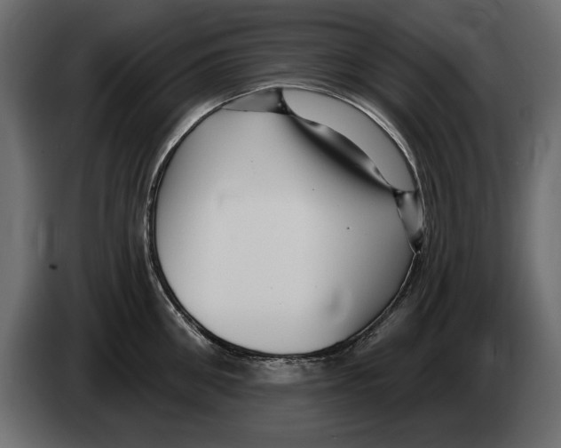 X0000082980906200703020254