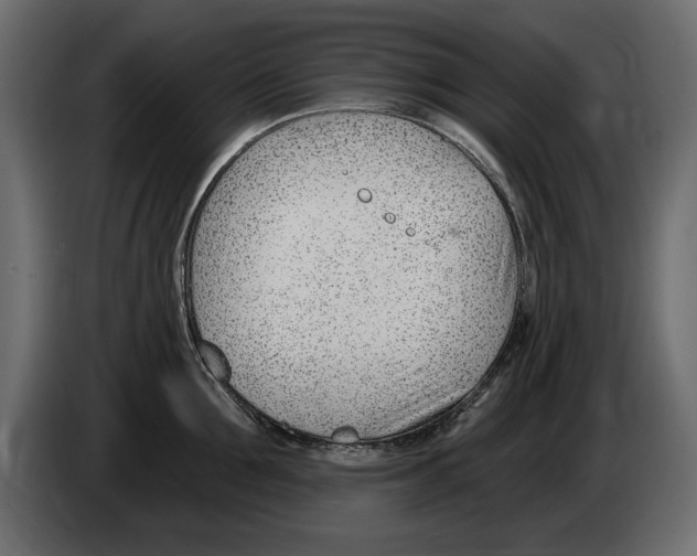 X0000082980907200703020254