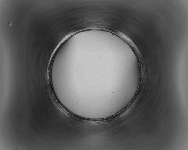 X0000082980908200703020254
