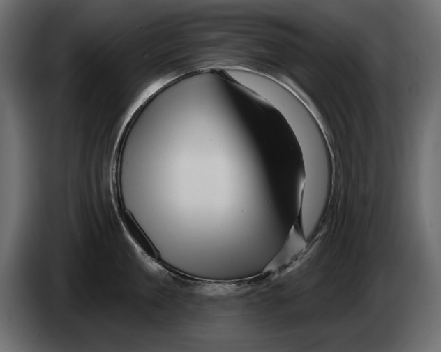 X0000082980909200703020254