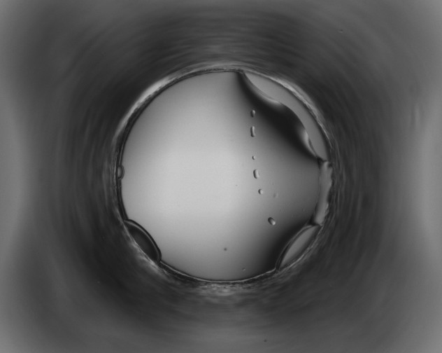 X0000082980910200703020254