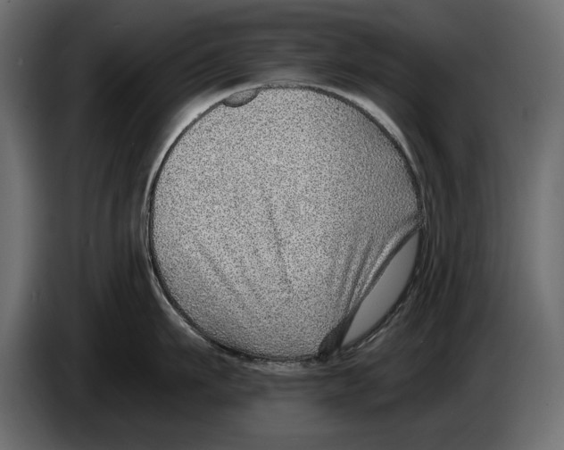 X0000082980911200703020254