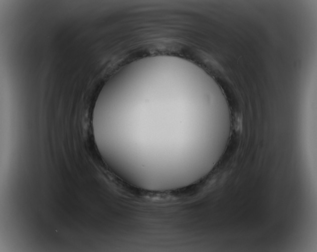 X0000082980915200703020253