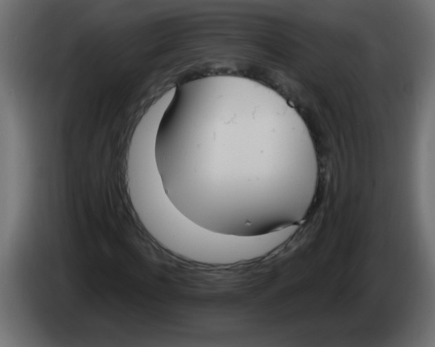 X0000082980916200703020253