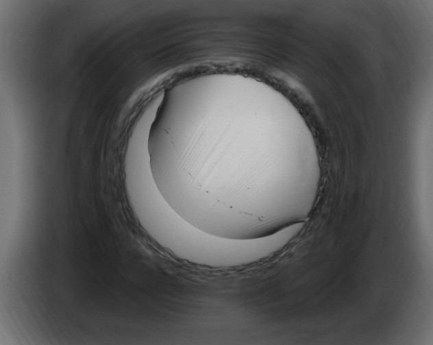 X0000082980920200703020253