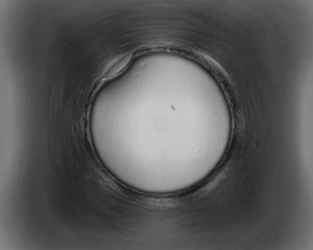 X0000082980921200703020253
