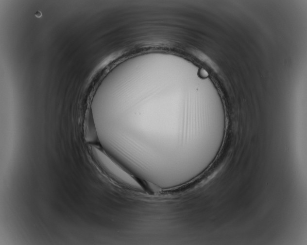 X0000082980922200703020253