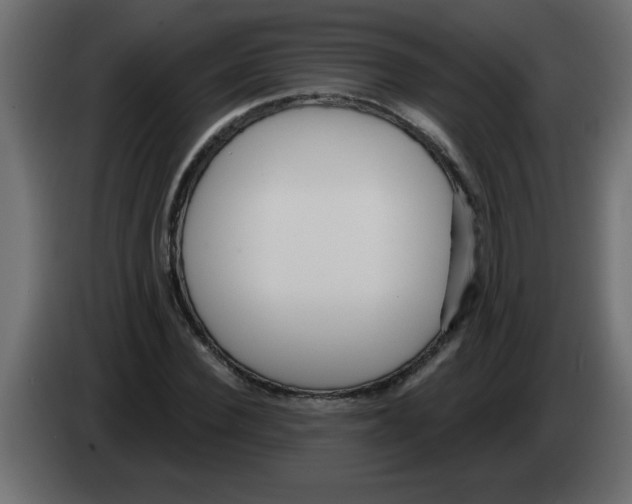 X0000082980924200703020253