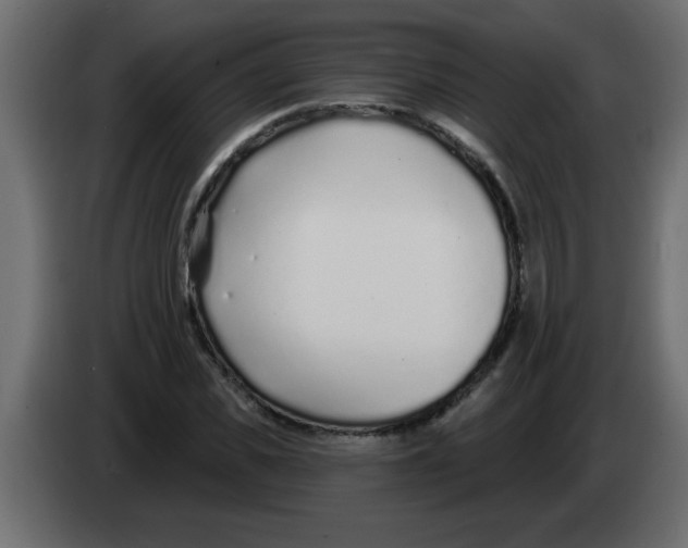 X0000082980925200703020253