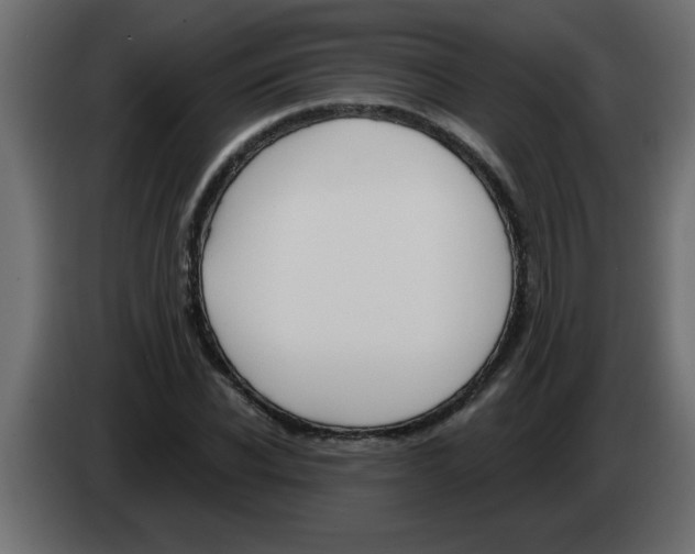 X0000082980926200703020253