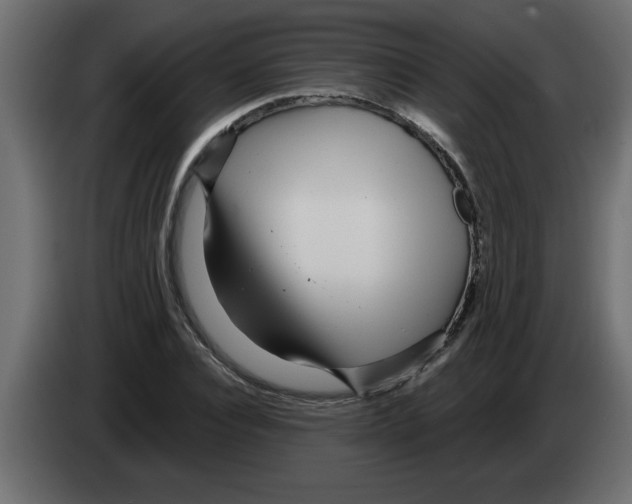 X0000082980928200703020253