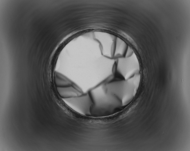 X0000082980931200703020253
