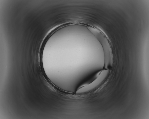 X0000082980932200703020253