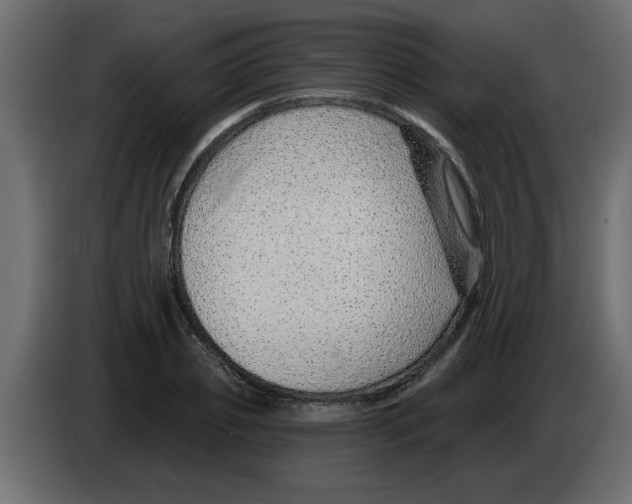 X0000082980933200703020253