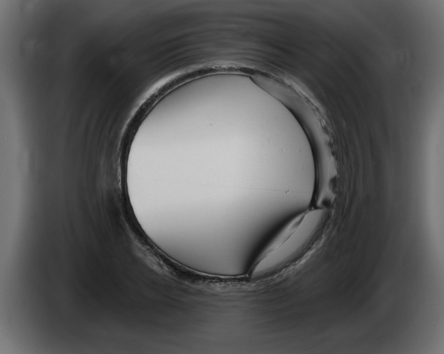 X0000082980934200703020253