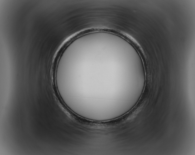 X0000082980935200703020253