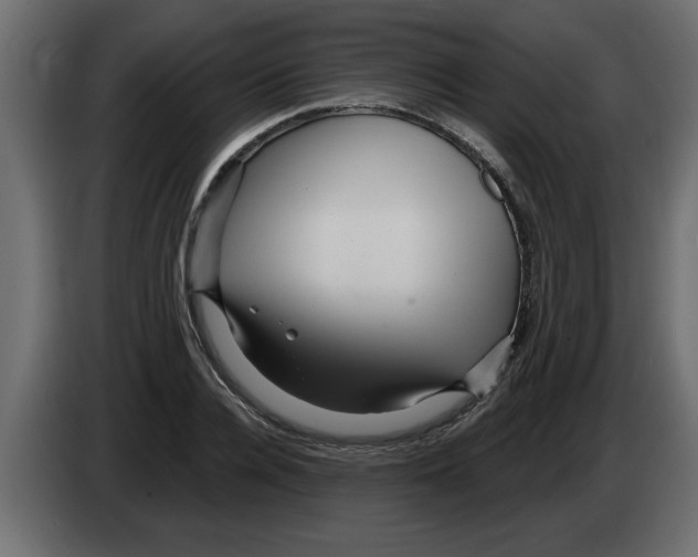 X0000082980936200703020253