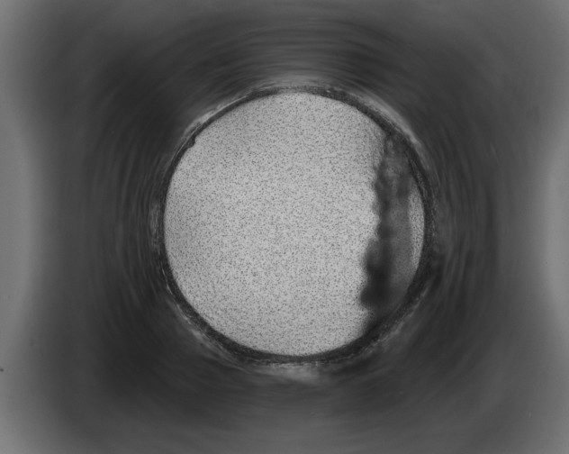 X0000082980937200703020254