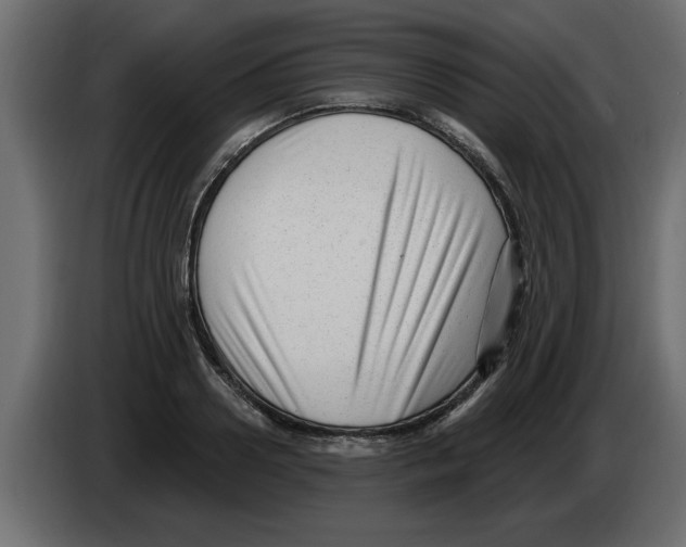 X0000082980938200703020254