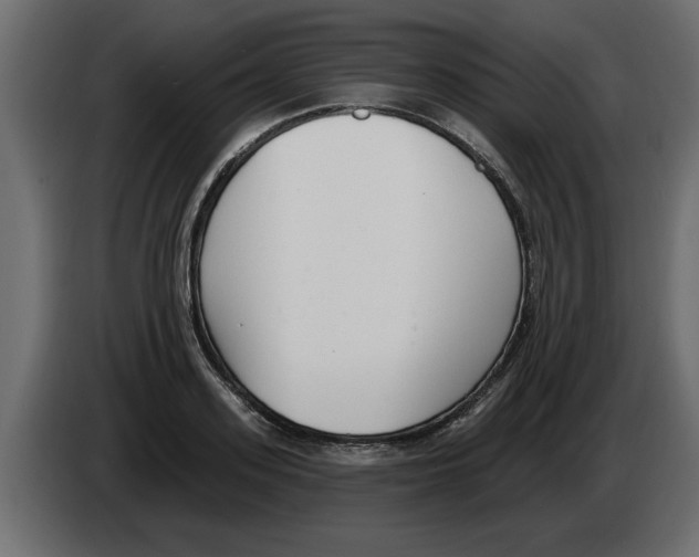 X0000082980939200703020254