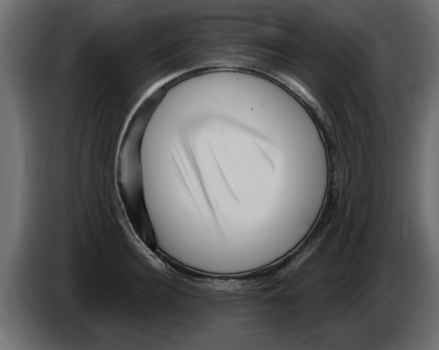 X0000082980940200703020254