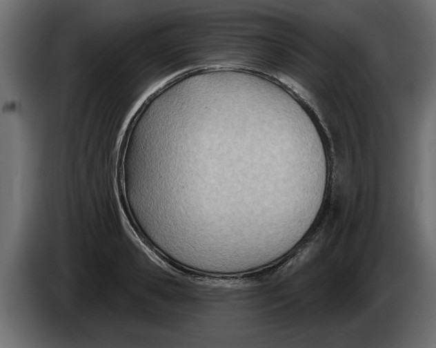 X0000082980941200703020254