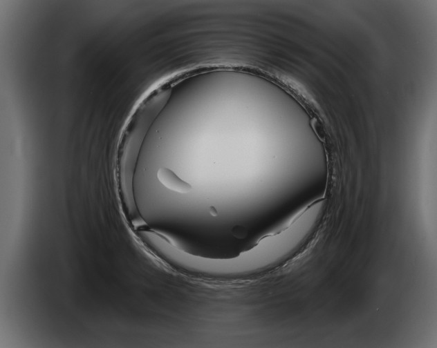 X0000082980942200703020254