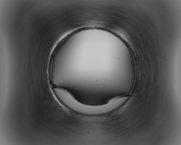 X0000082980943200703020254
