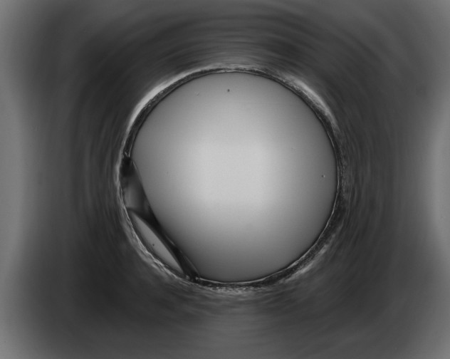 X0000082980944200703020254