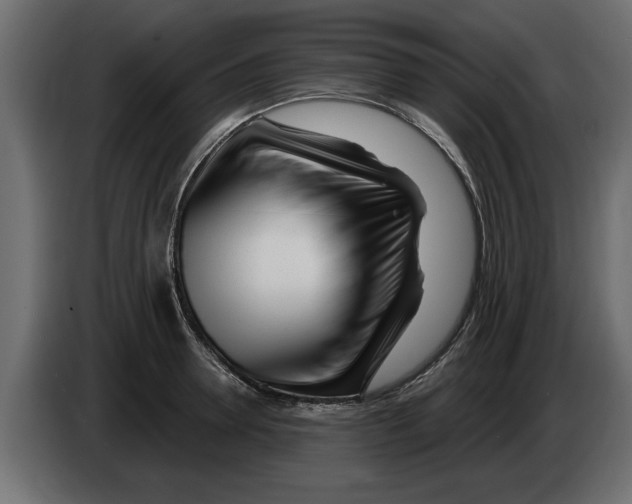 X0000082980946200703020254