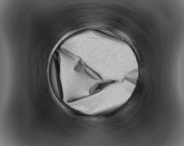 X0000082980947200703020254