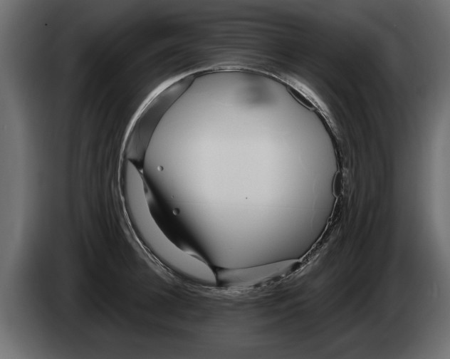 X0000082980948200703020254