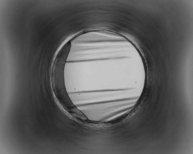 X0000082980949200703020254