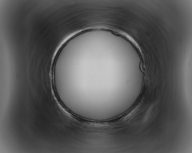 X0000082980951200703020254
